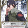 Ebisu TG Card