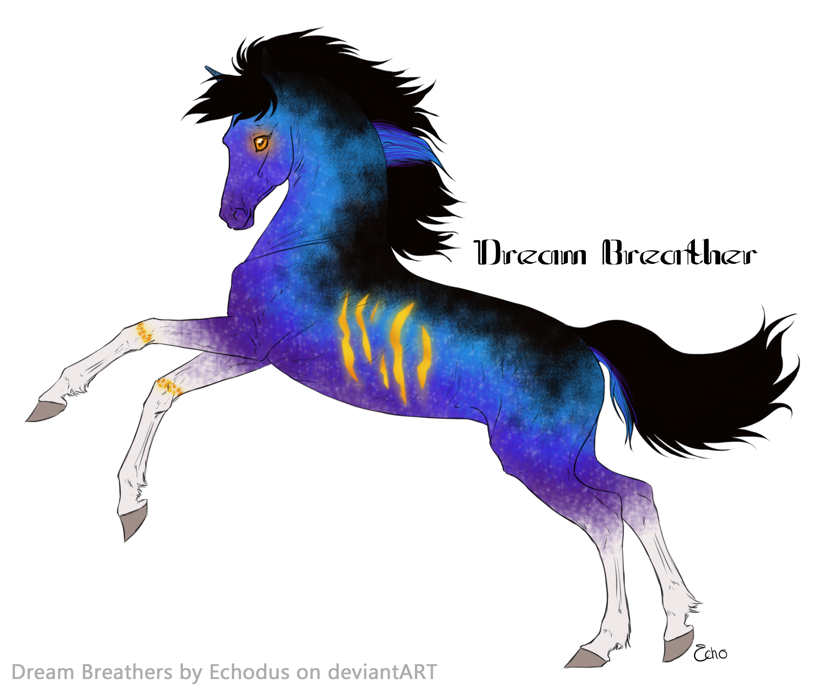 230 Foal Design