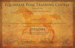 Ghostbuster Diploma by BlueFire-Phoenix