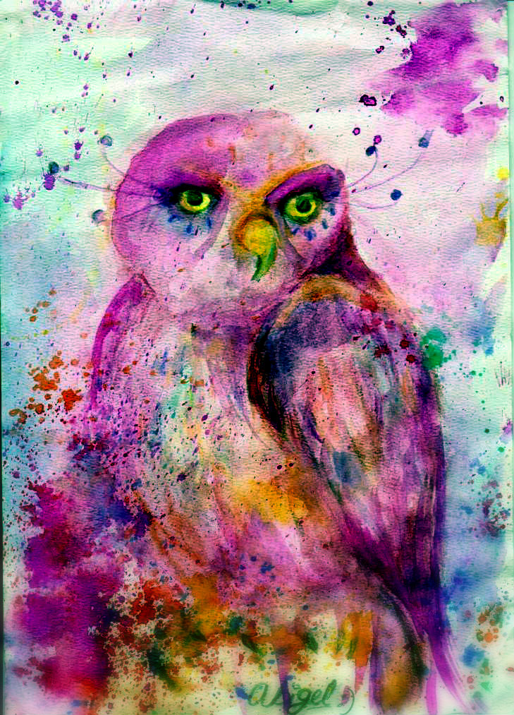 ~Owl