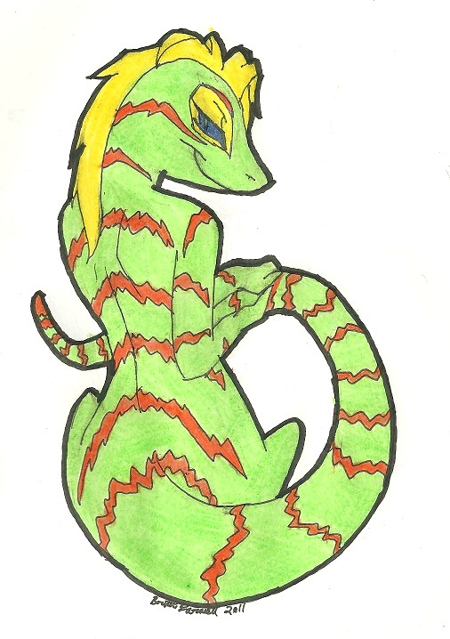 Lizard