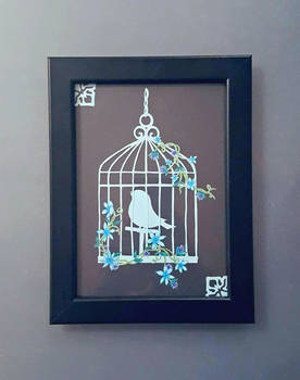 Birdcage