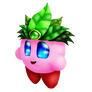 Leaf Kirby Collab