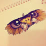 Owl Illustration Study
