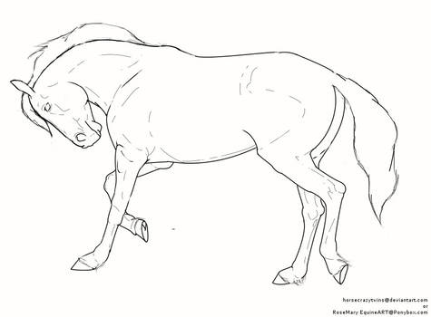 Free Stallion Lineart