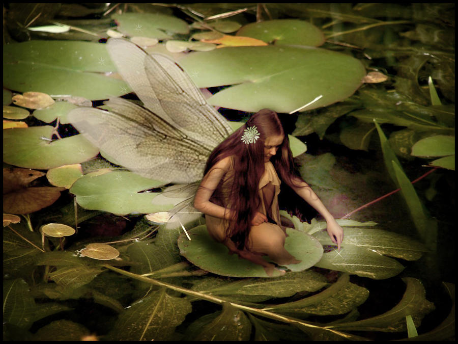 Water Lily Fairy