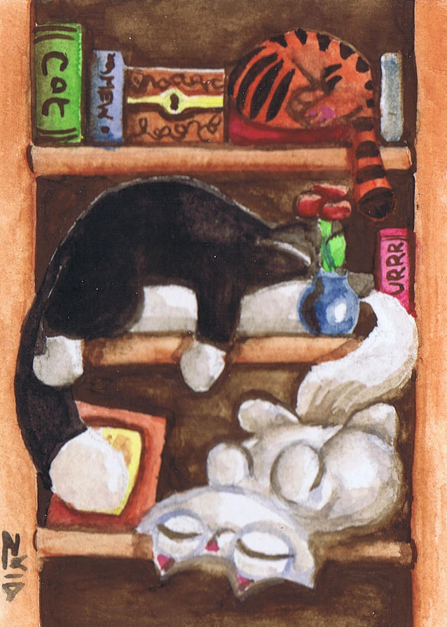 Funny cats watercolour sleepy bookshelf