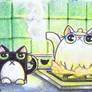 Funny cat is a kettle ACEO