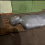 Mummification