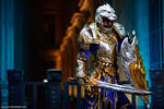 Warcraft - King Llane by vaxzone