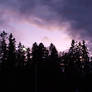 Purple Sky