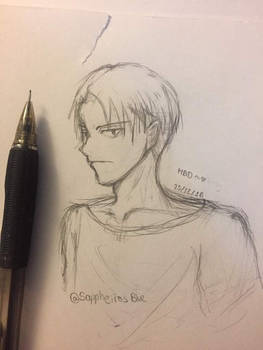 Happy Birthday Levi ^^