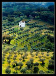 Portugal by abachell