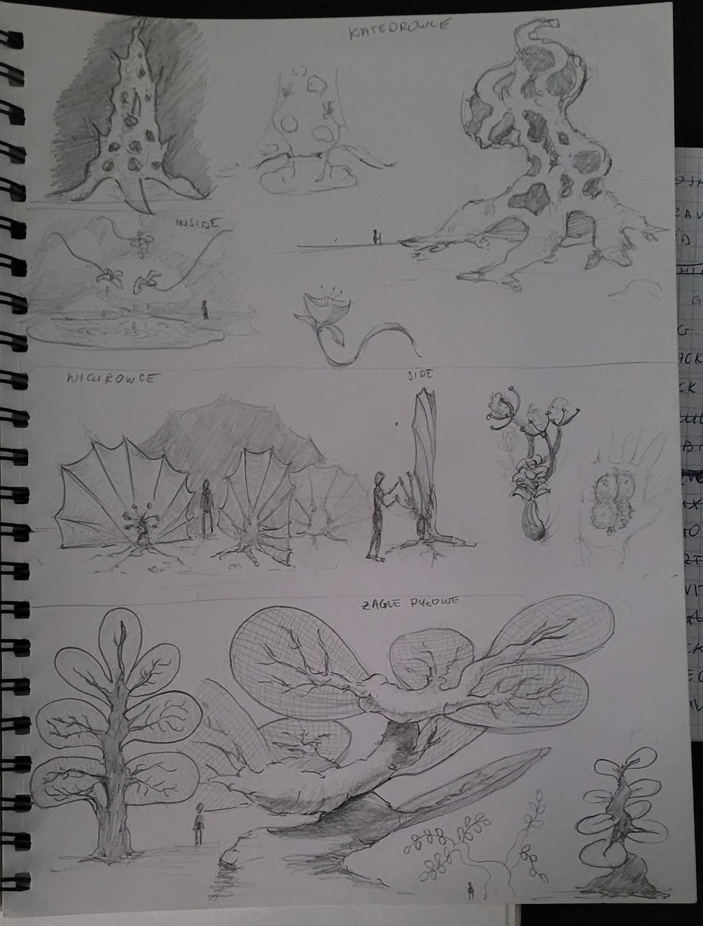 Searching for vegetation on a new planet.