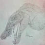 Spinosaurus ~^^~