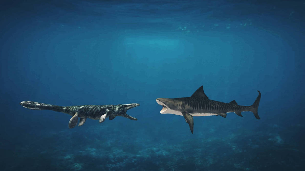Mosasaurus Vs Megalodon by TheIsleUseeer on DeviantArt