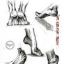 Foot Study