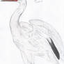 Siberian crane