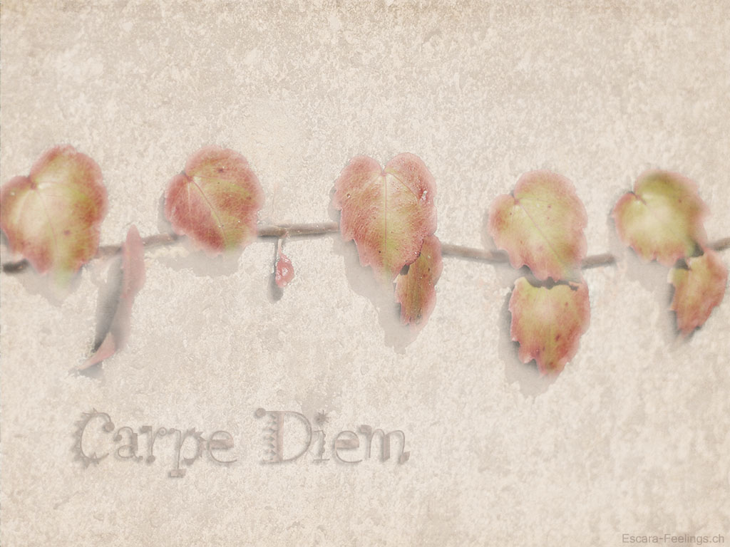 Carpe Diem