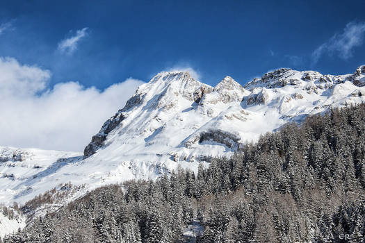 Swiss Mountain (1)