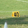 40 yard line