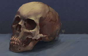 Skull .01