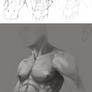 Male torso study 1