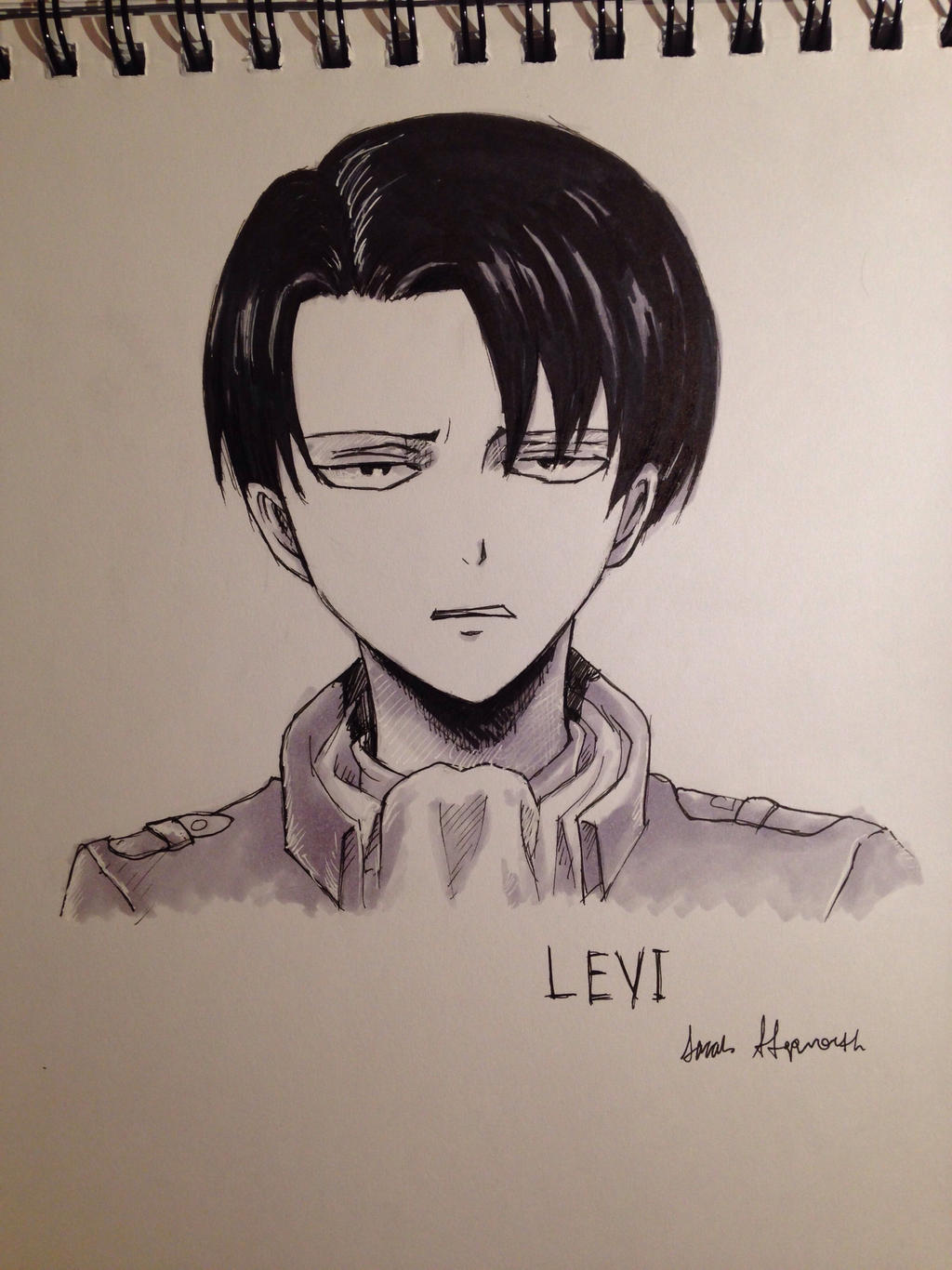 Levi Ackerman sketch#4 by HawkRose00 on DeviantArt
