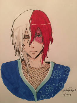 Shoto Todoroki