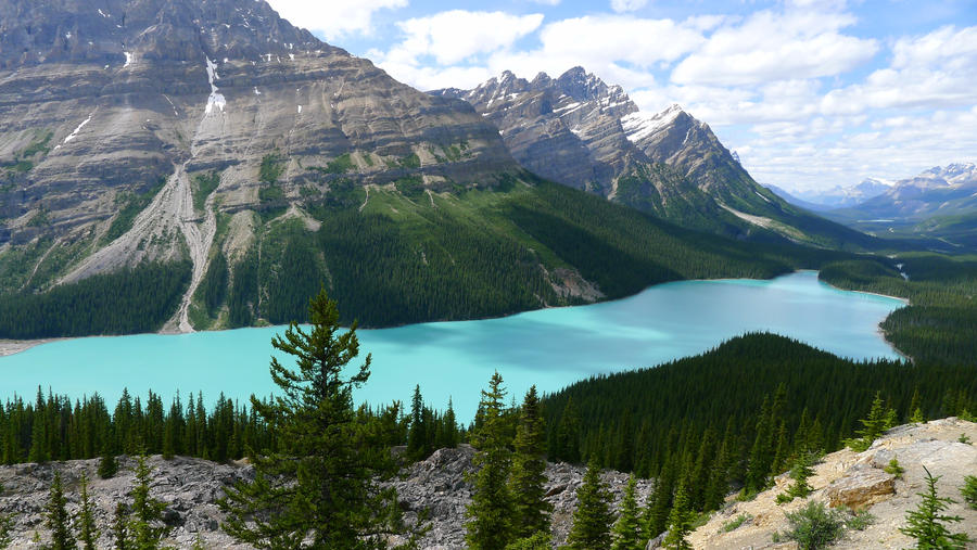 Peyto Lake