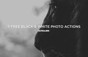 Free Black And White Photo Actions Set