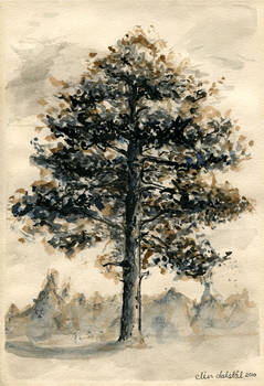 Grandmas pine