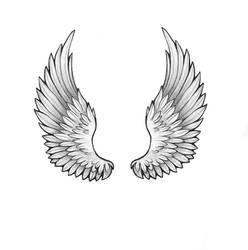 Hermes Wings