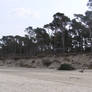 Baltic Seashore