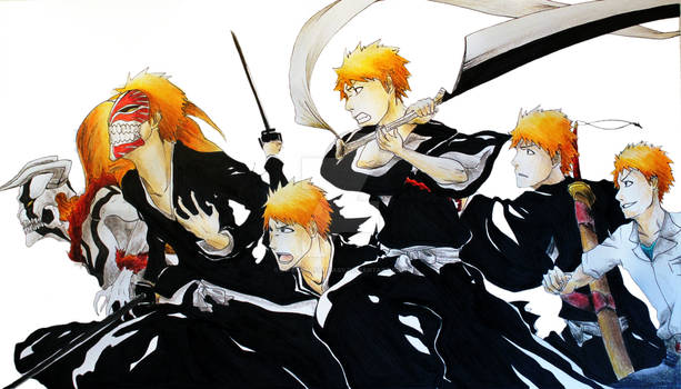 Evolution of Ichigo