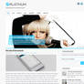 Platinum Free WordPress Theme