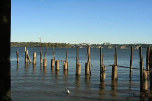 At the Boardwalk