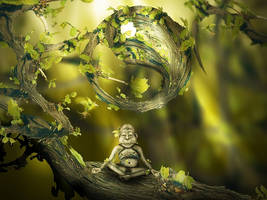 Forest Harmony