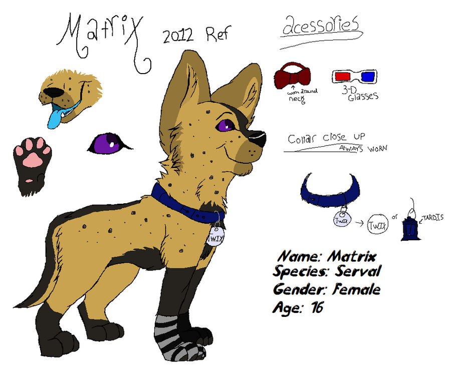 Matrix Reference To Rabbit Matrix Reference 2012 by twixxbar on DeviantArt