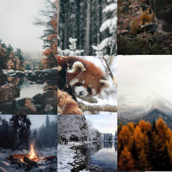 F2U moodboard!