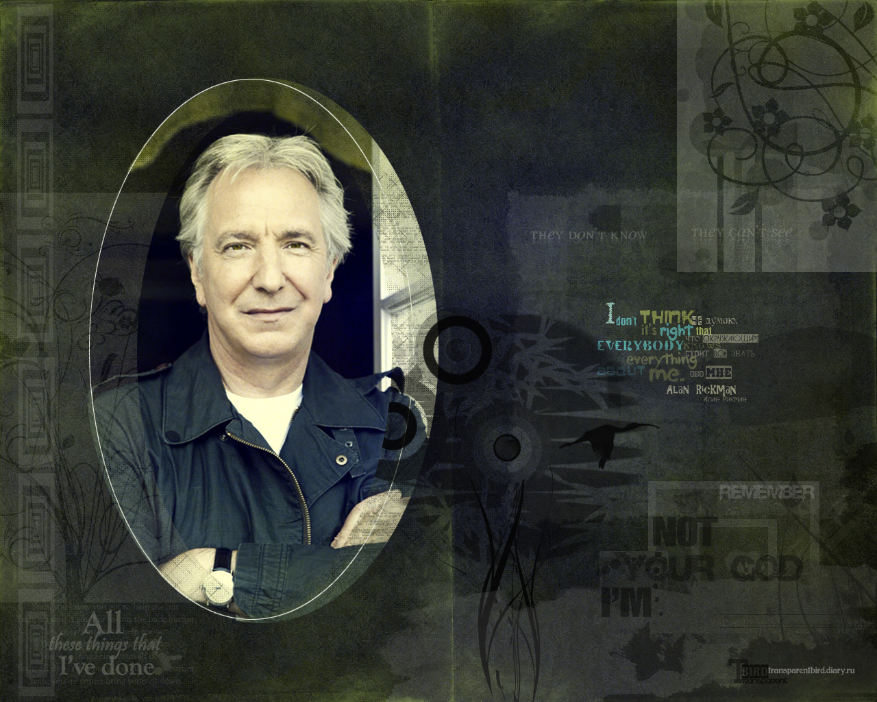 Alan Rickman - wallpaper 3