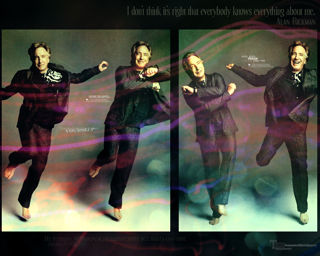 Alan Rickman - wallpaper 6