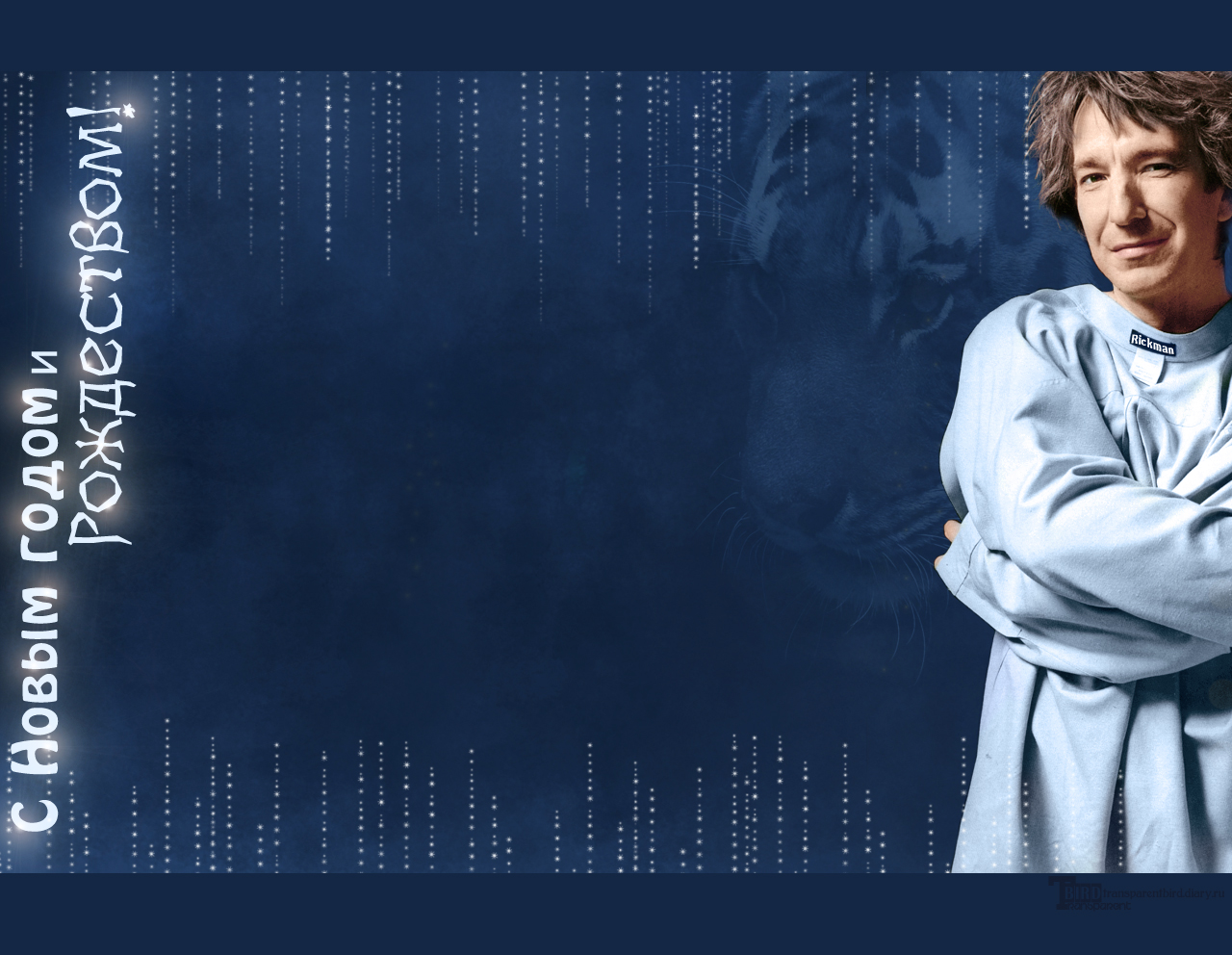 Alan Rickman - wallpaper 8