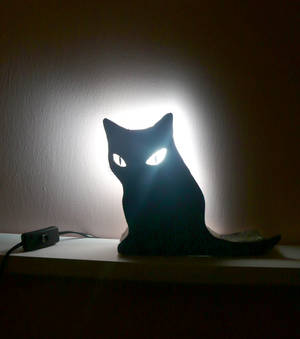 Black Cat lamp