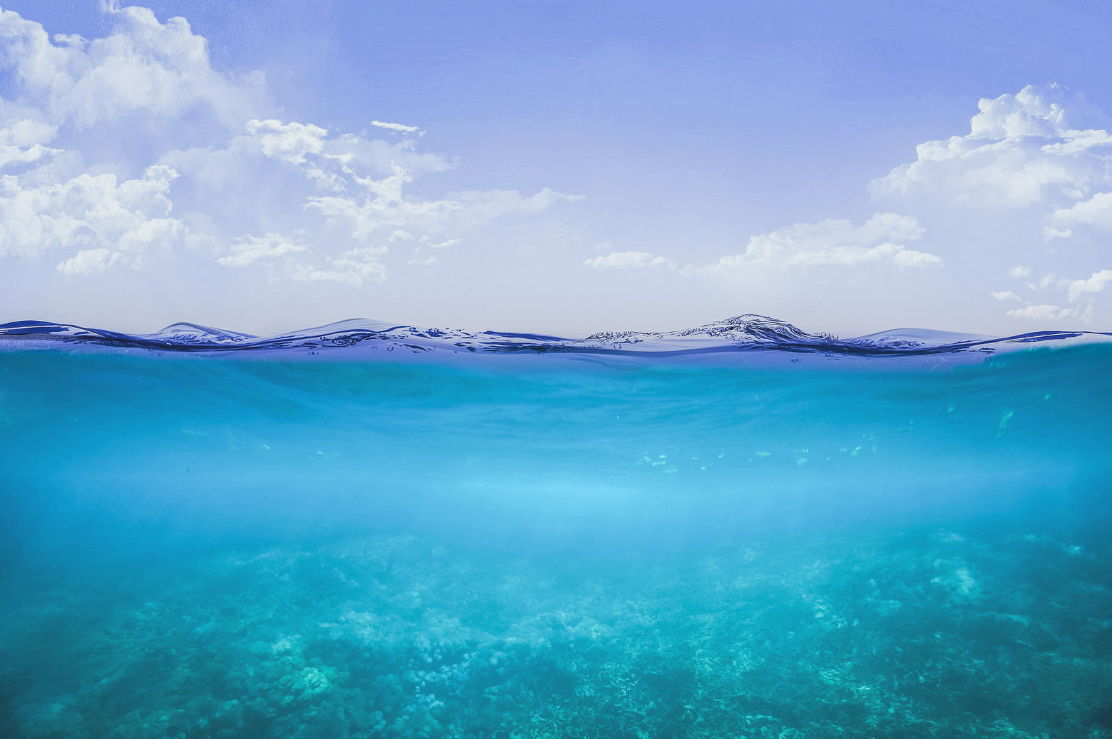 Underwater HD 4k By MattiaMc