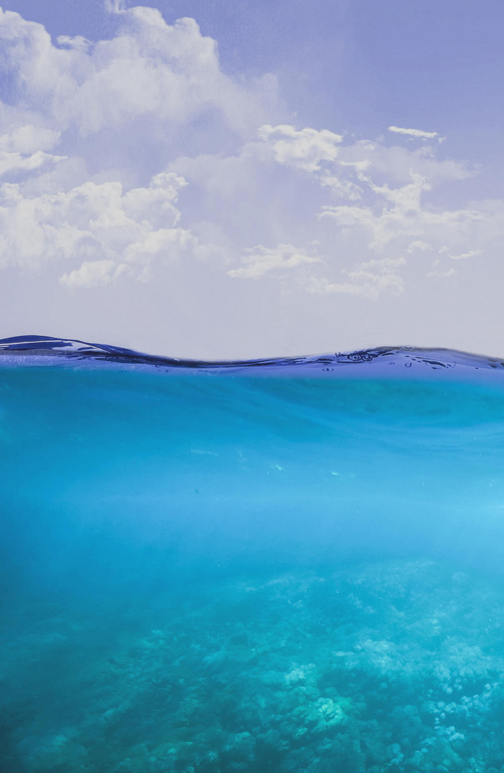 2 Underwater HD 2K Vertical image