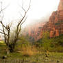 Angel's Landing