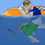 Dolphin Accident