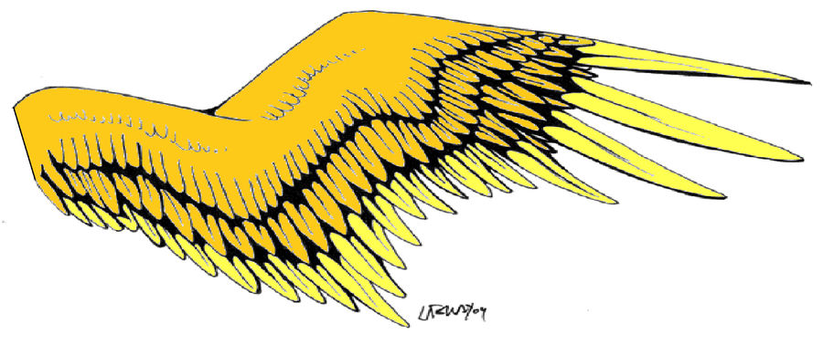 Sharp Golden Wing Golden wing by moonlitekaty on DeviantArt