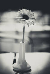 Table Flower